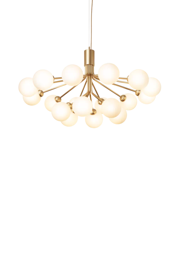 Apiales 18 ljuskrona, brushed brass / opal • NUURA - Bild 8